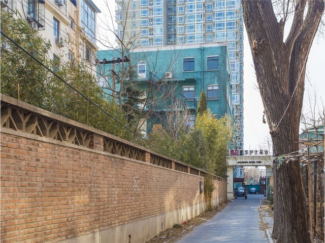 山东自立袋狗粮包装机厂家